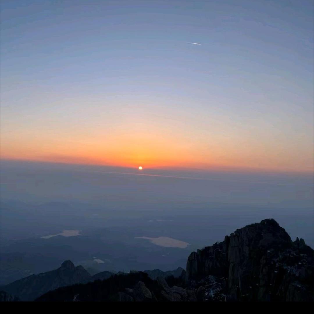 萤 火 虫