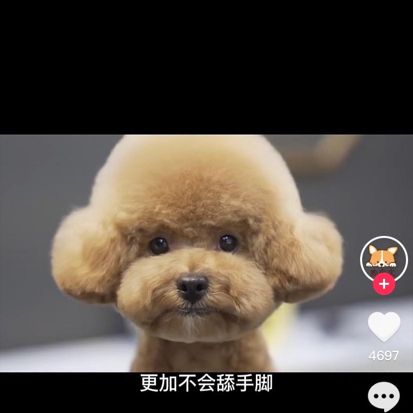 雨后春笋178