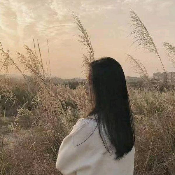 骑猪奔赴嫦娥
