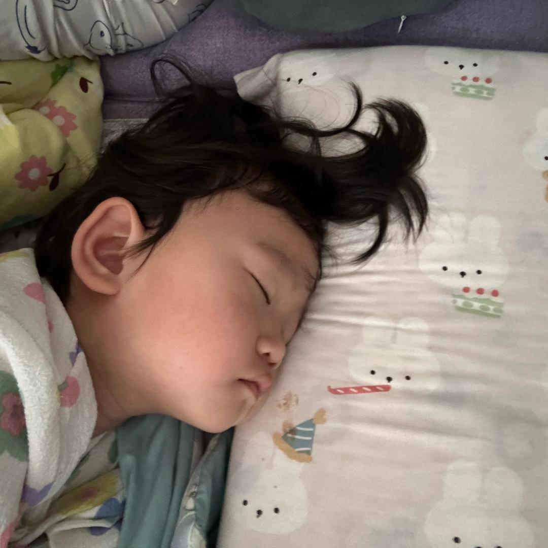李李李李李子