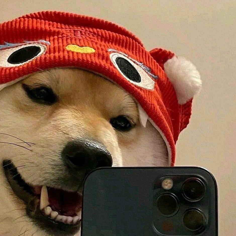 ౽₍˄. ̫.˄₎⟆