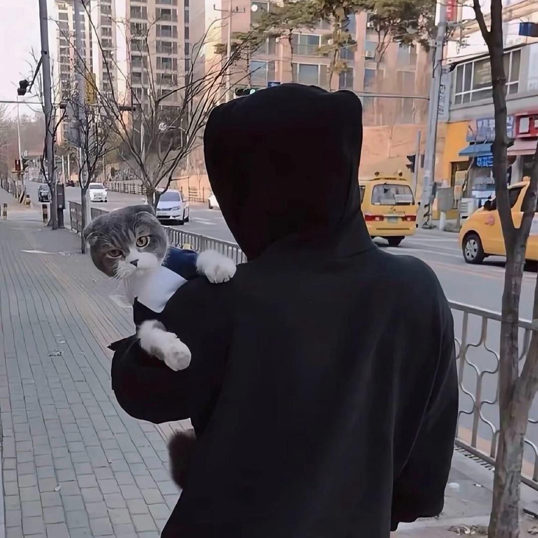 毛毛虫.