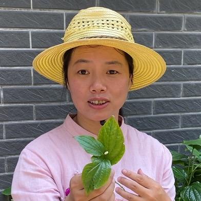 青草夫妇-校嫂