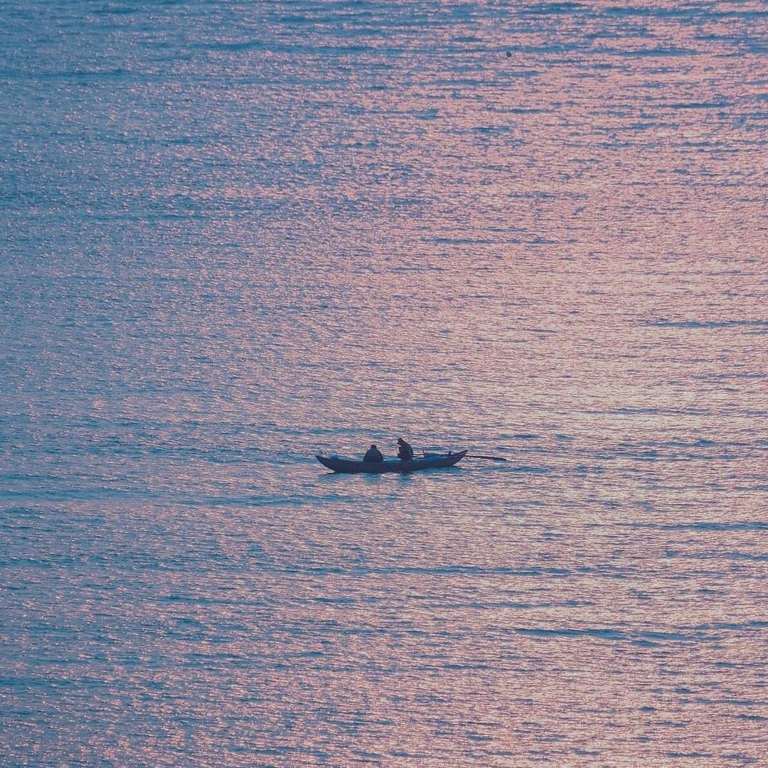 浮游