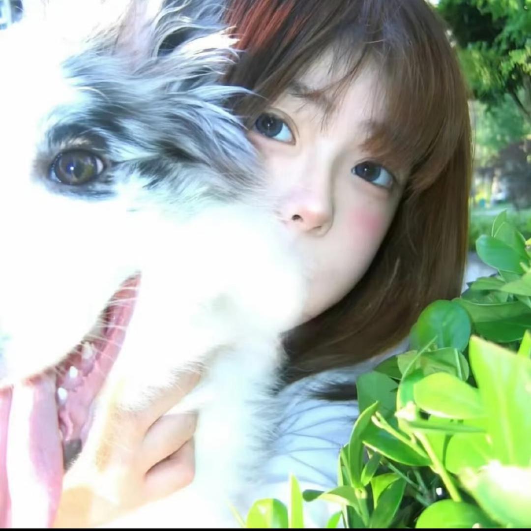小蔡不是小白菜
