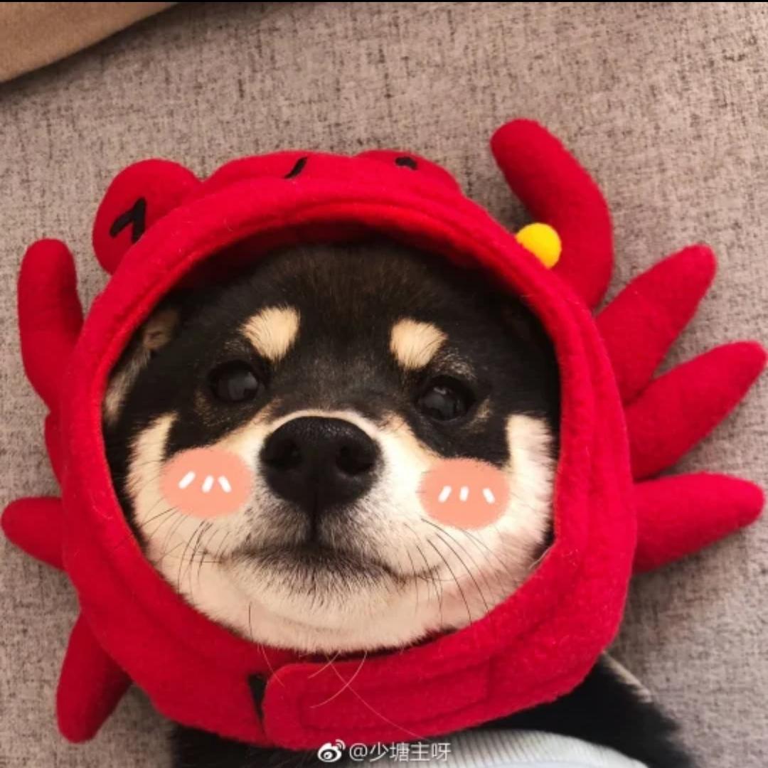 短指甲的步步