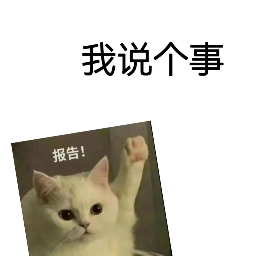 小美美的穿戴甲