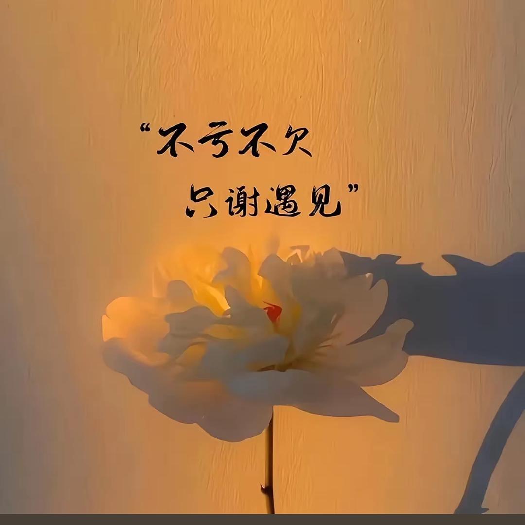 小幸运🦋