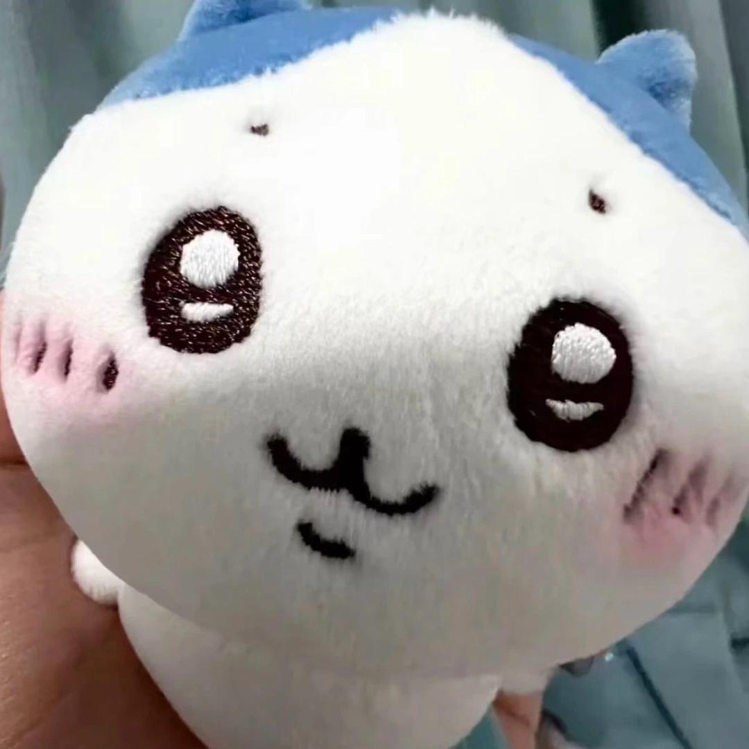 飞翔的小猪