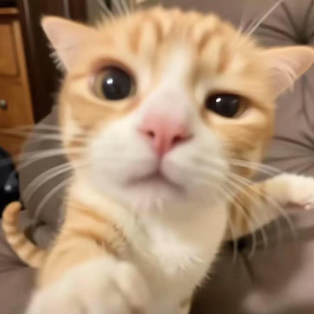 ⚖️一个保安⚖️