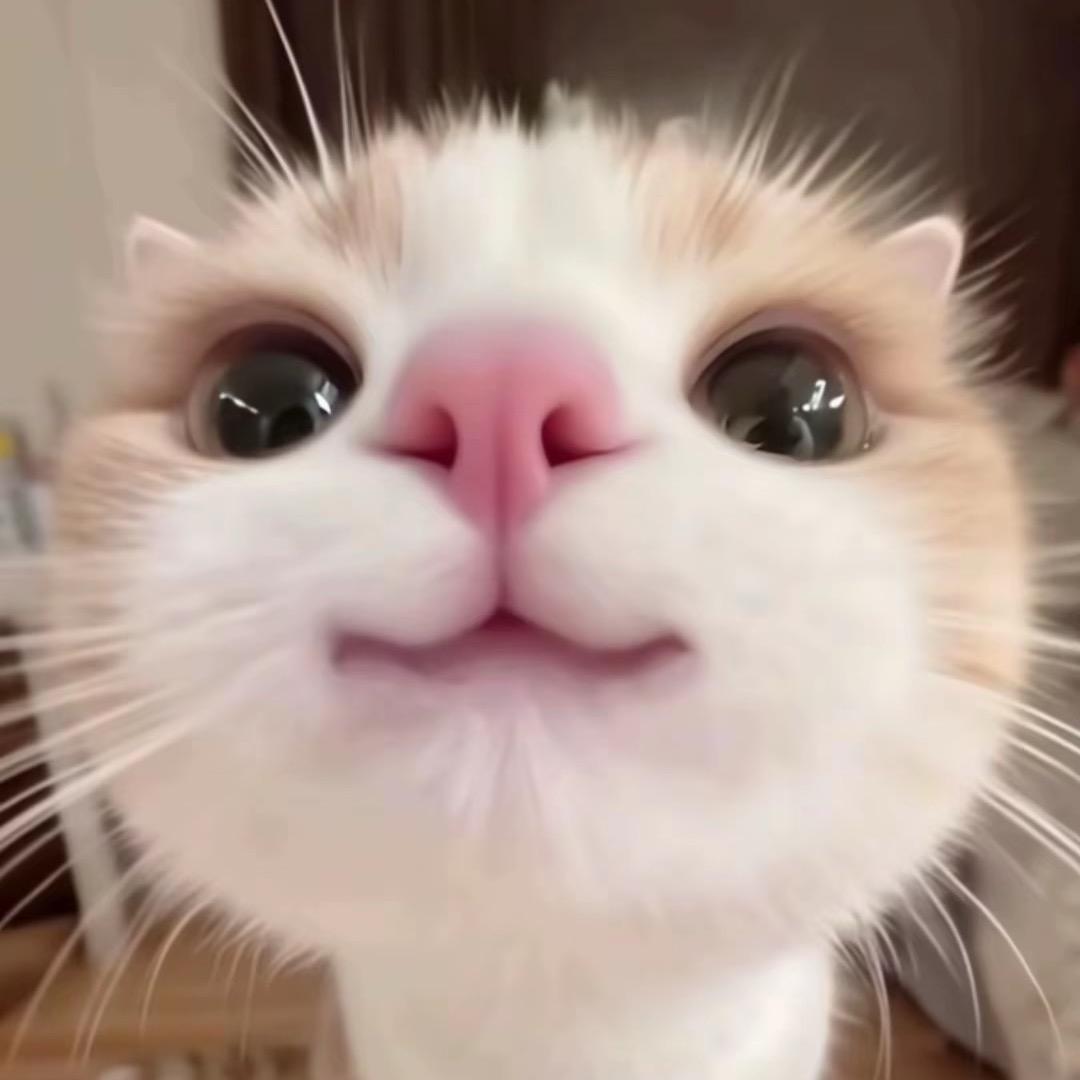 李不理！