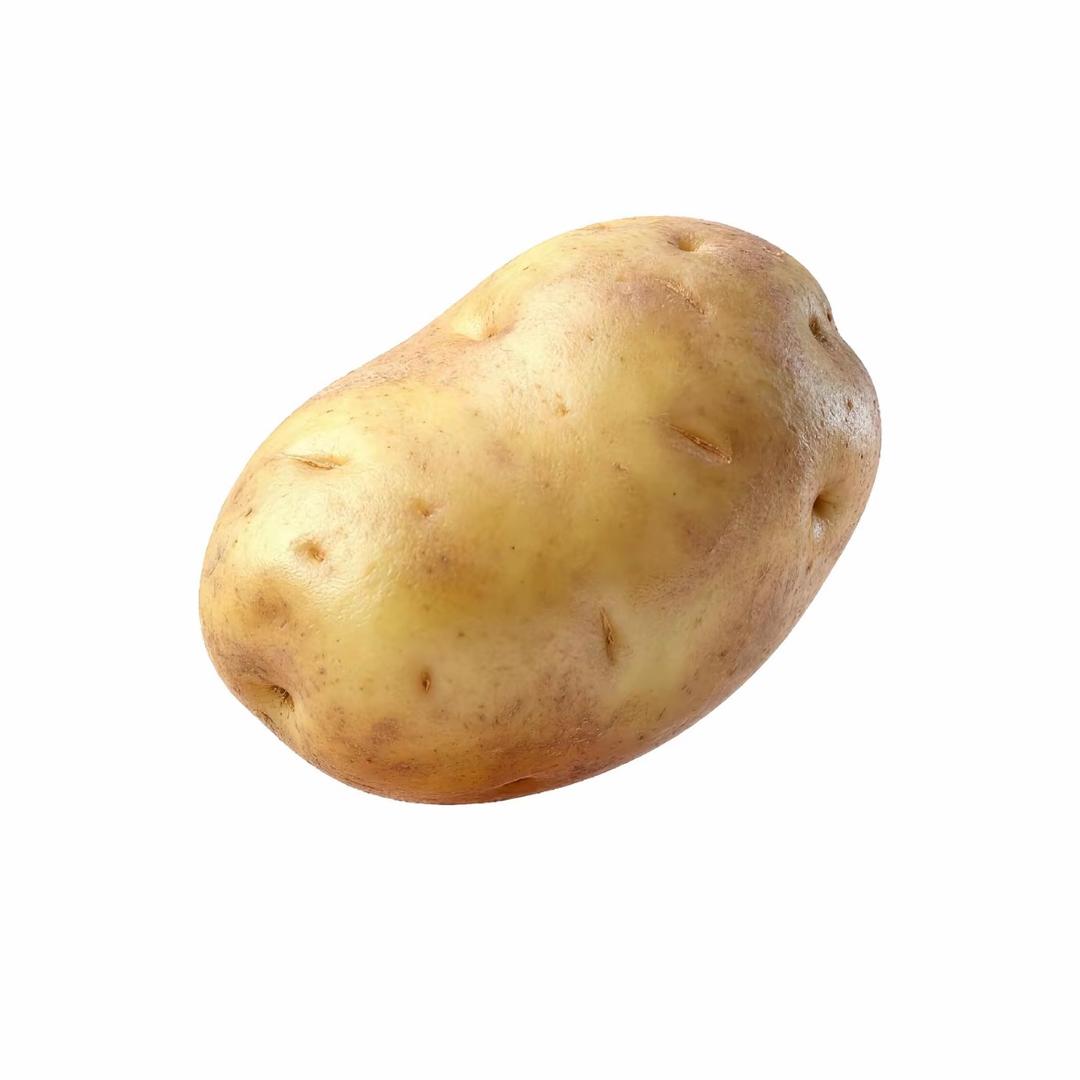 土豆忠实爱好者