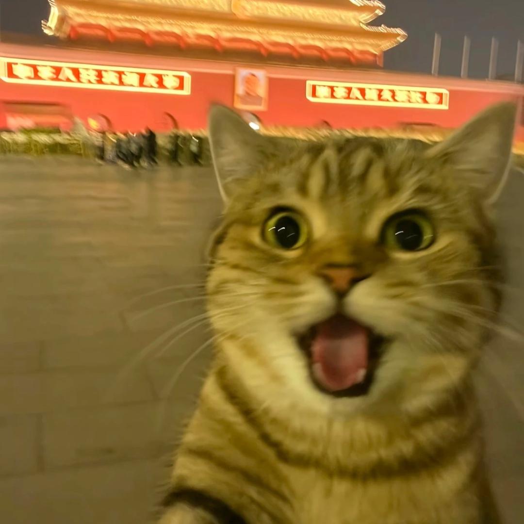 发财💰