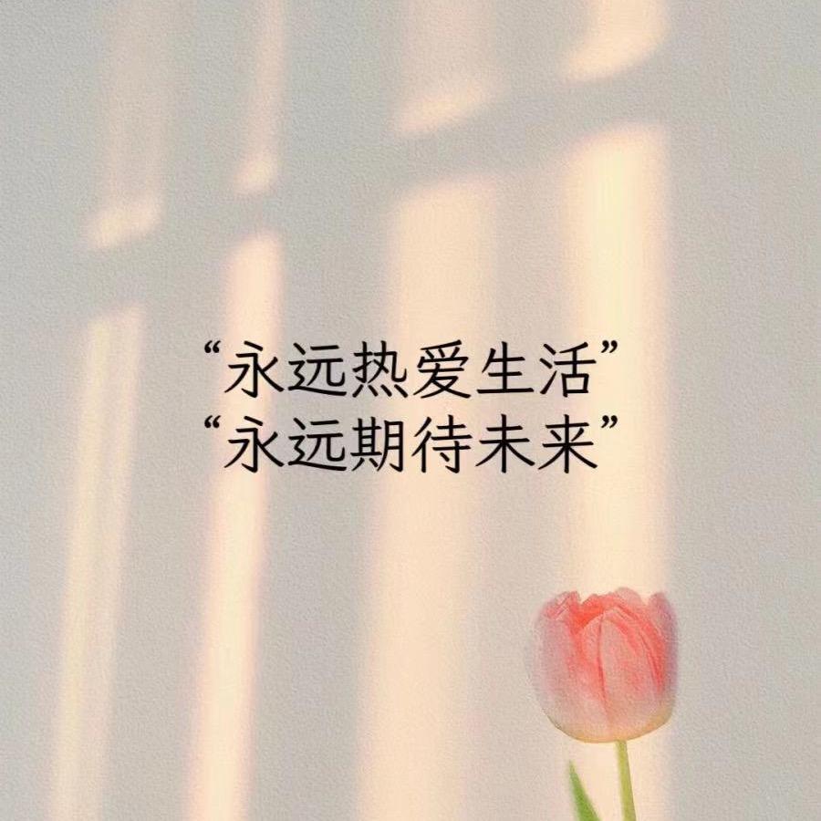 小🐳🐳