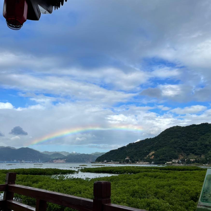 你真我更真