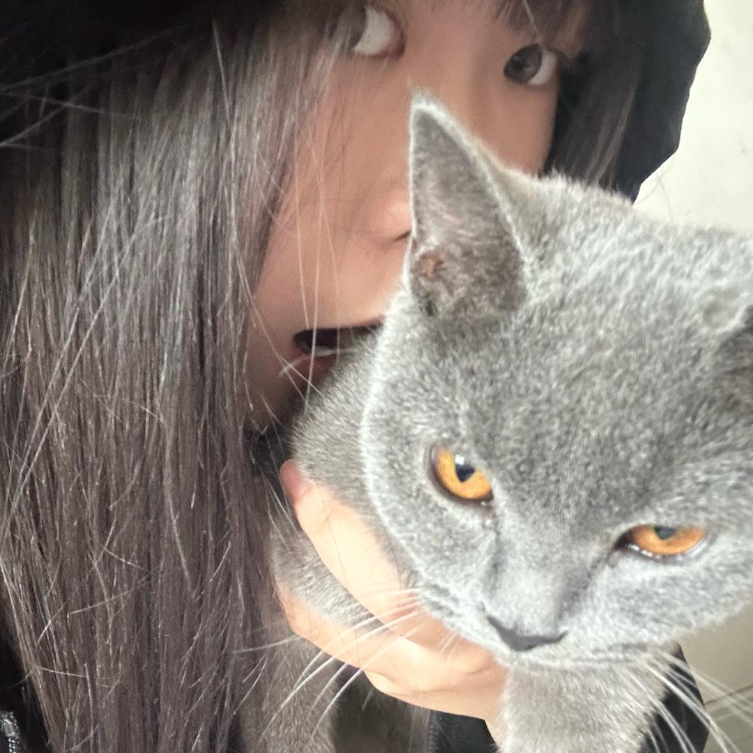 情的香菜