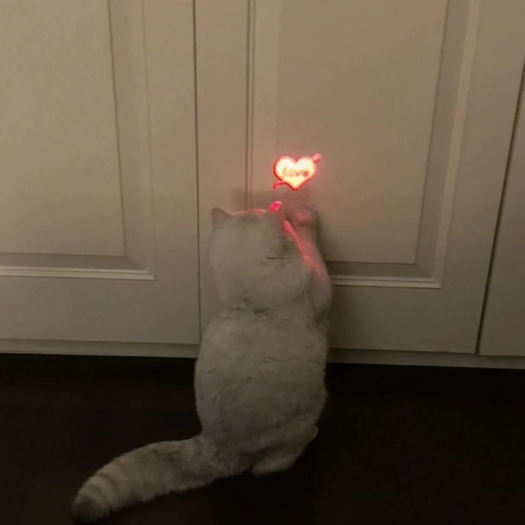 卷卷