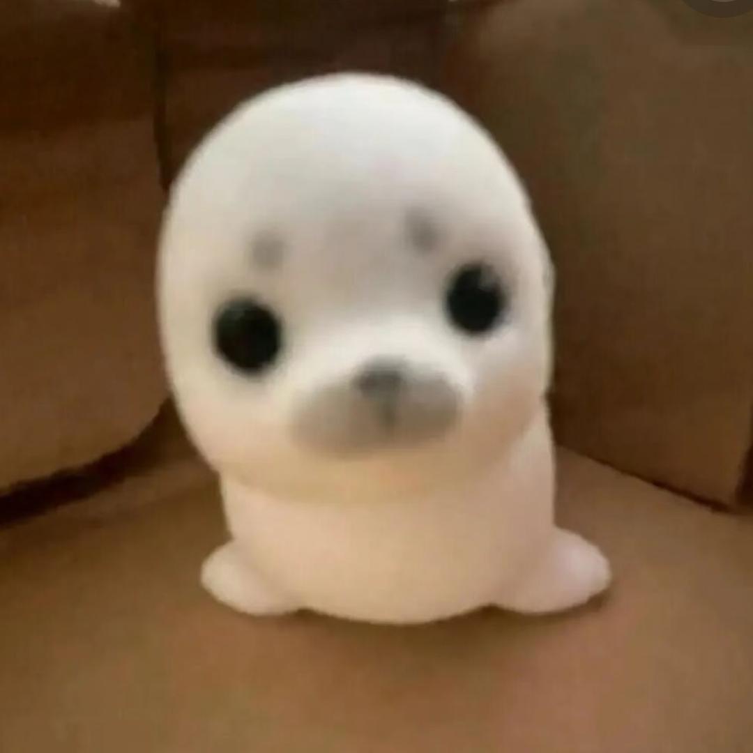 鱼丸