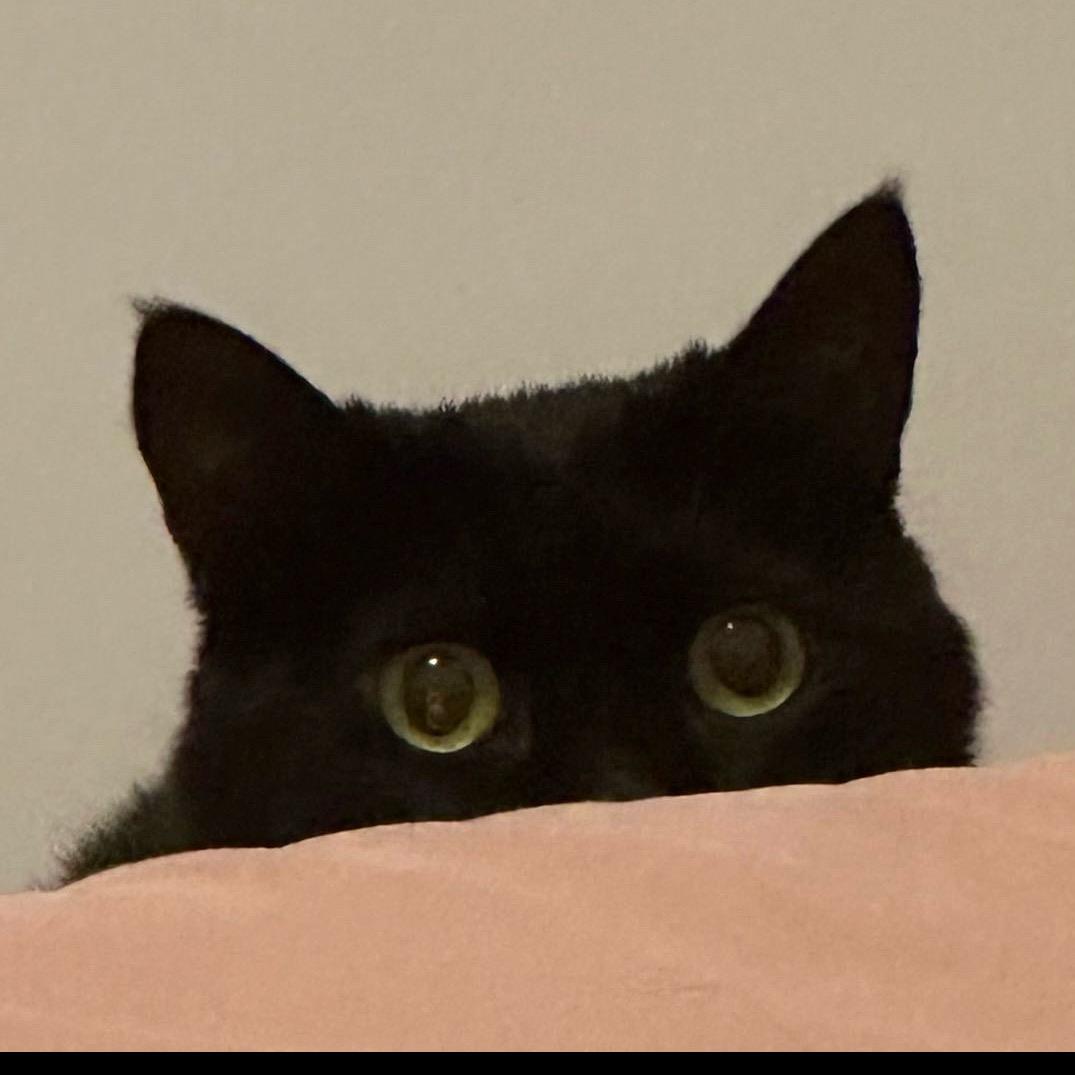黑炭是只小黑猪（🔝贴贴）