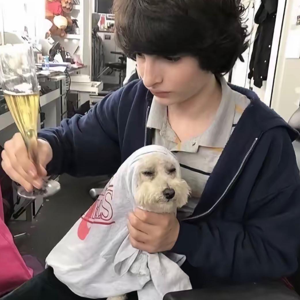 叙长信