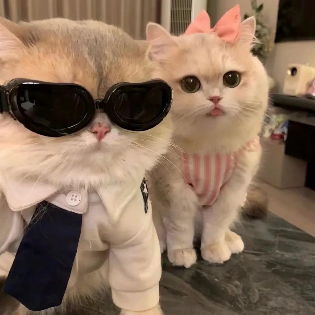 暖暖吖～