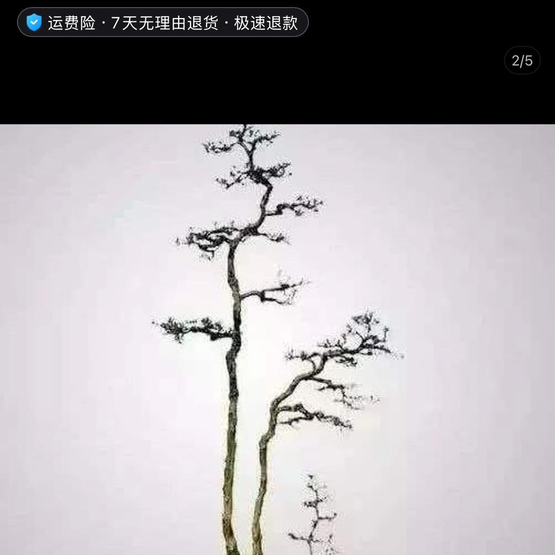 荀不动