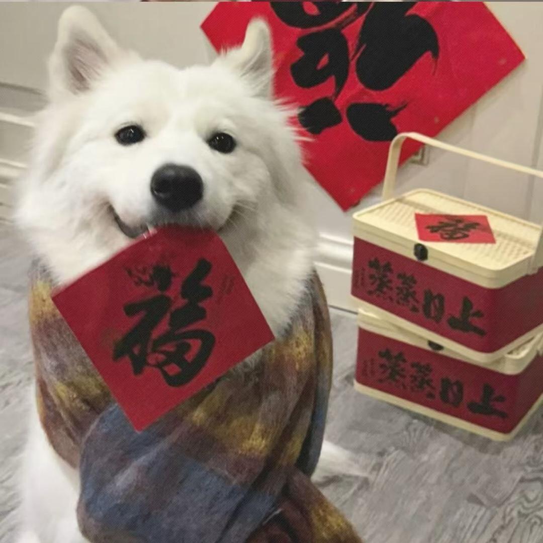 佳佳儿