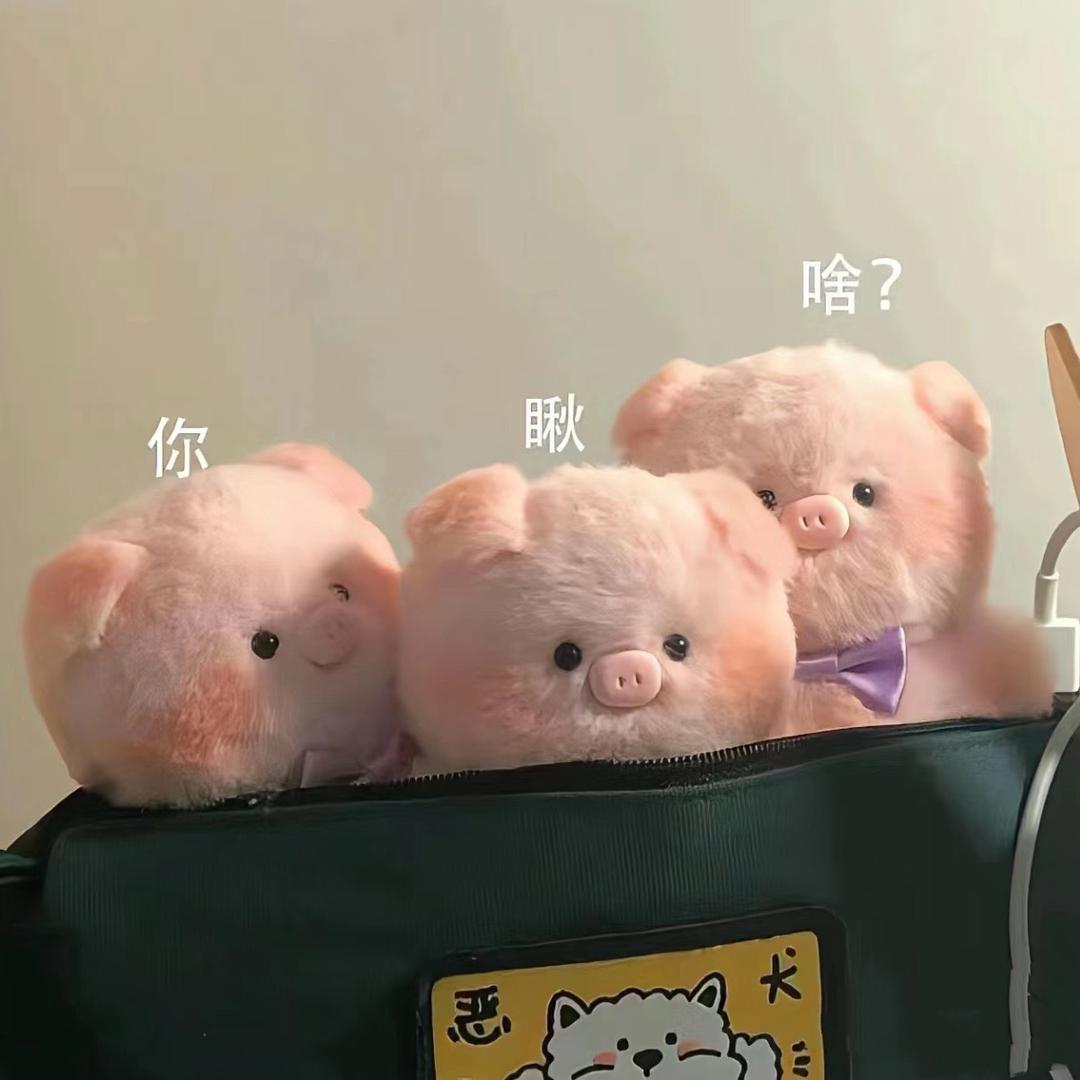 諨猪猪˃̶͈🐽˂̶͈