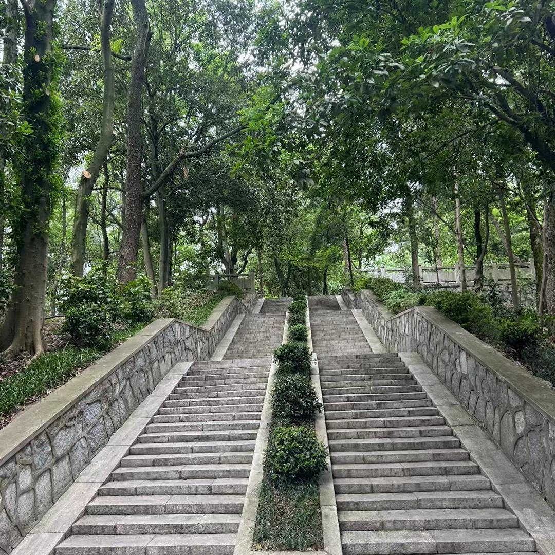 飘然