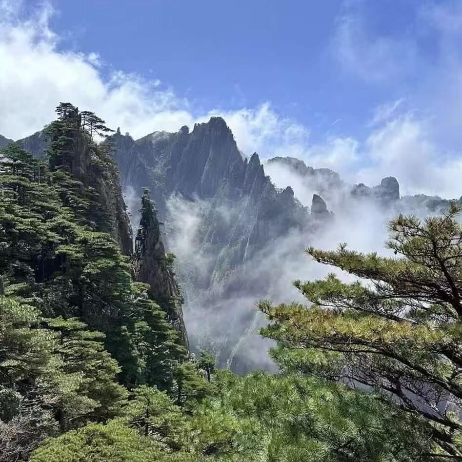 广州立谭机械精品店