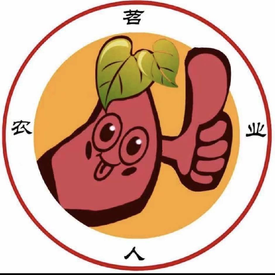 红薯土豆淀粉厂