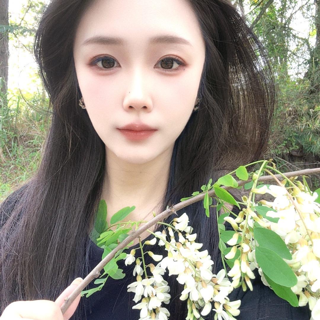 狐狸（大象308）