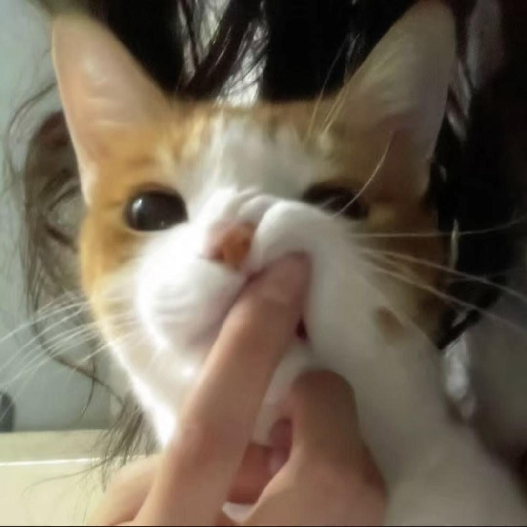 少吃一点好不好