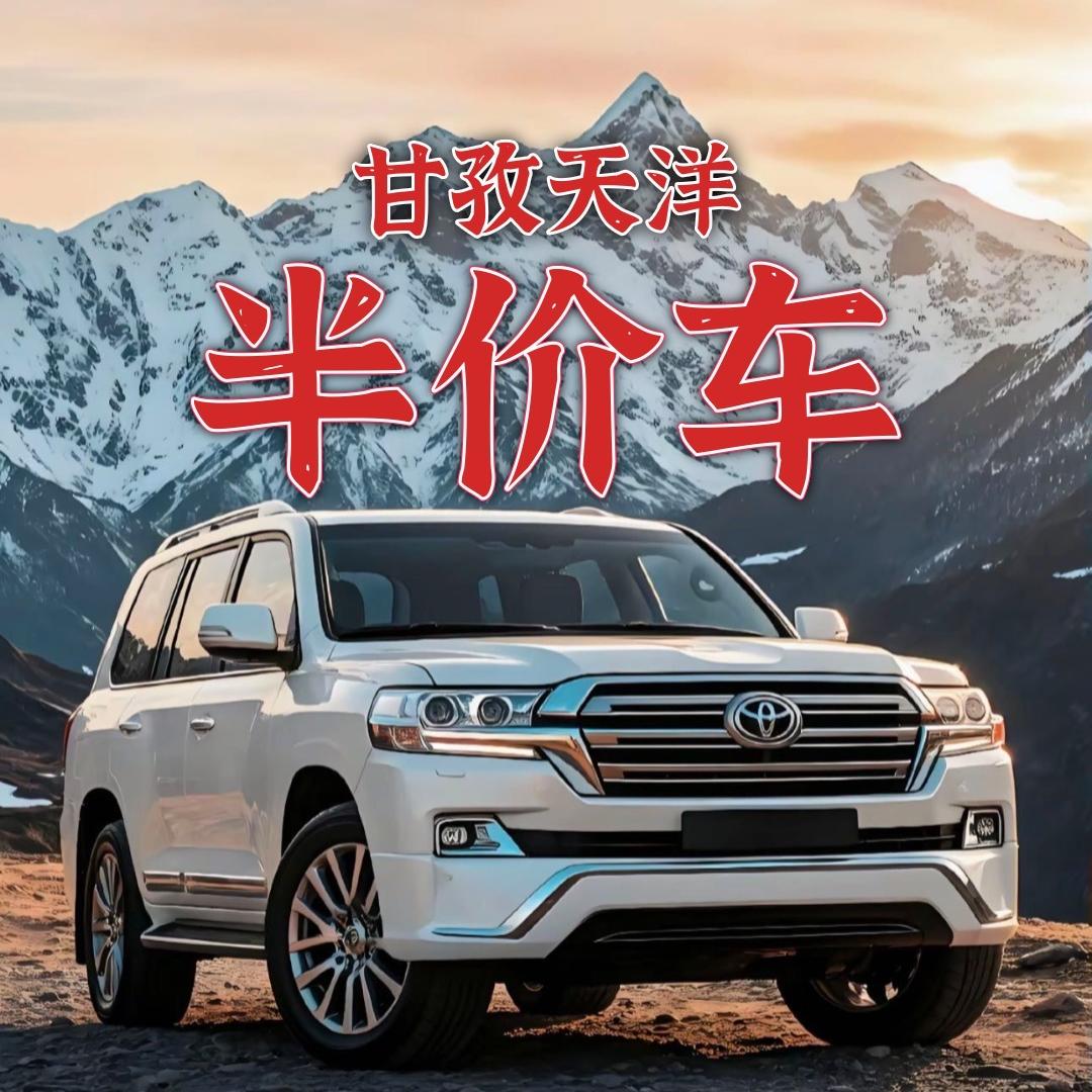 甘孜天洋二手车销售有限公司