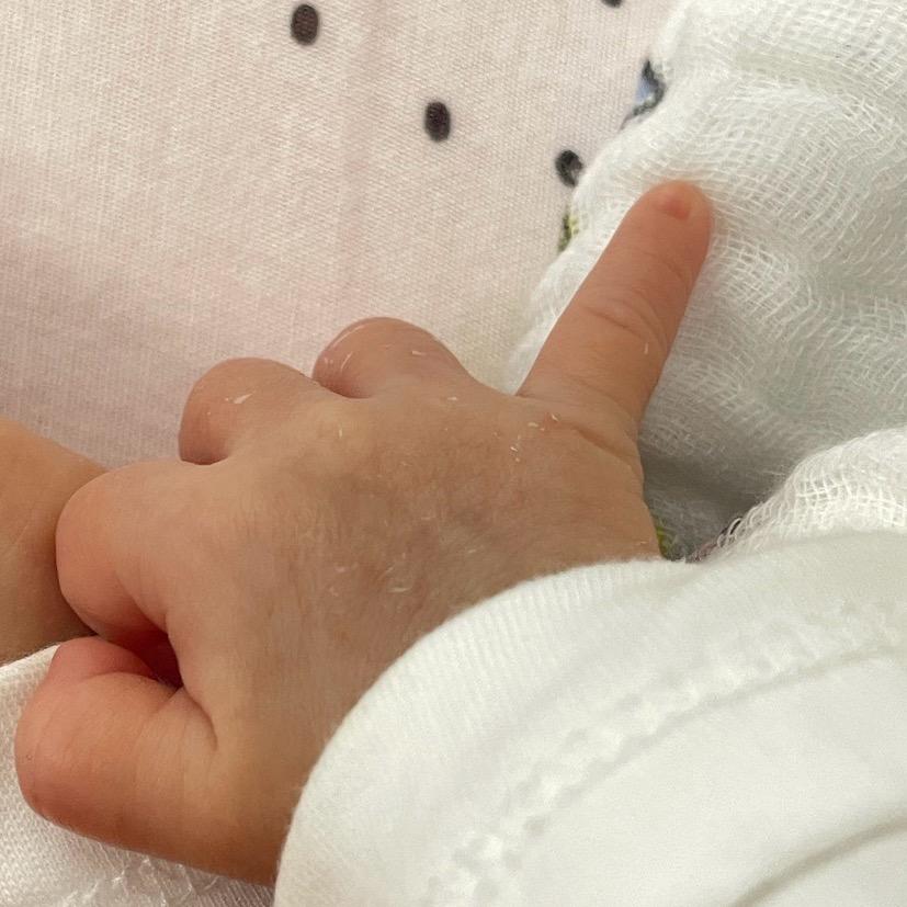 安安是个小乖宝