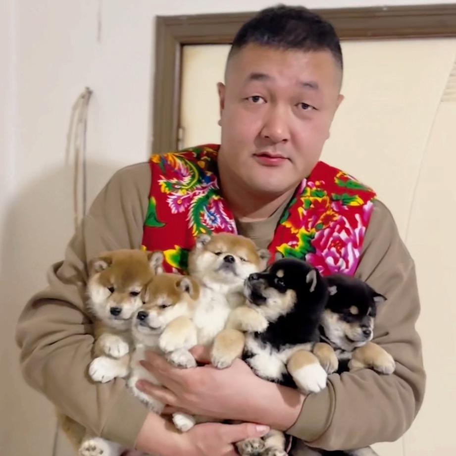 东北柴迷