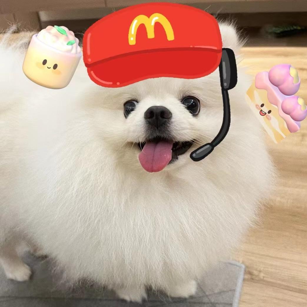 一只弹丸仔