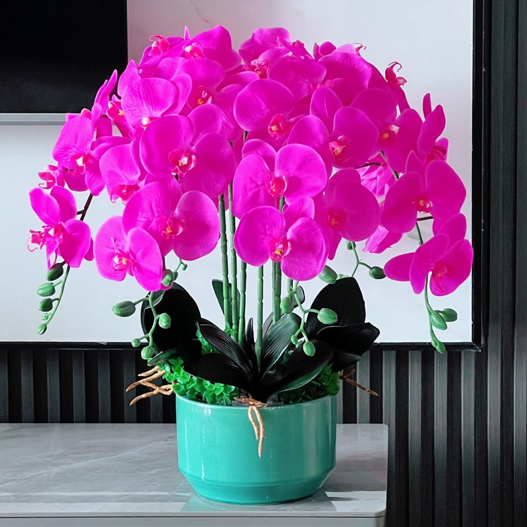 沭阳花遇果园艺中心