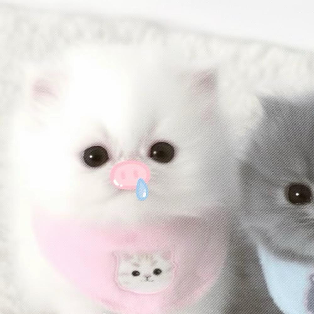 开心蛋挞