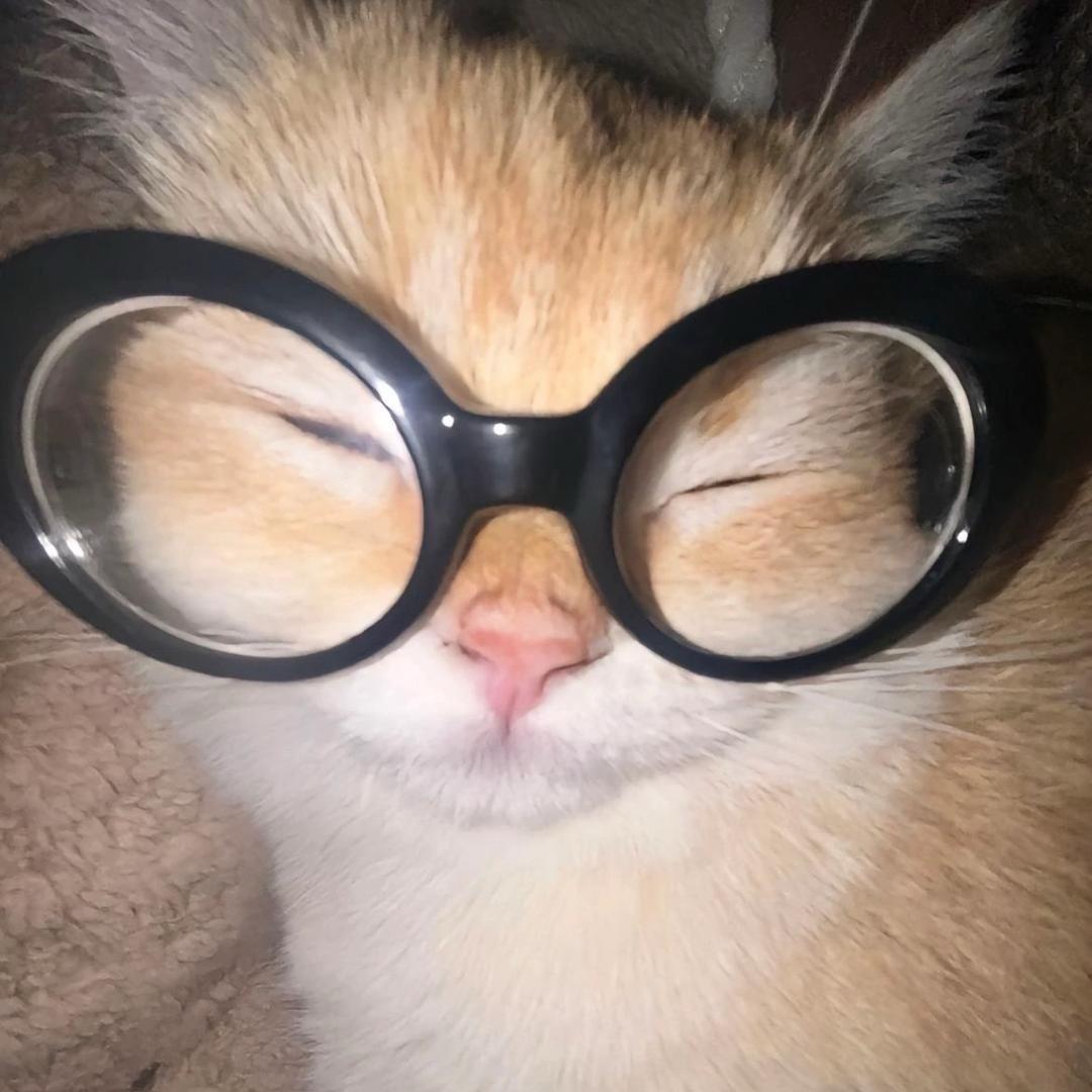 Ooooo