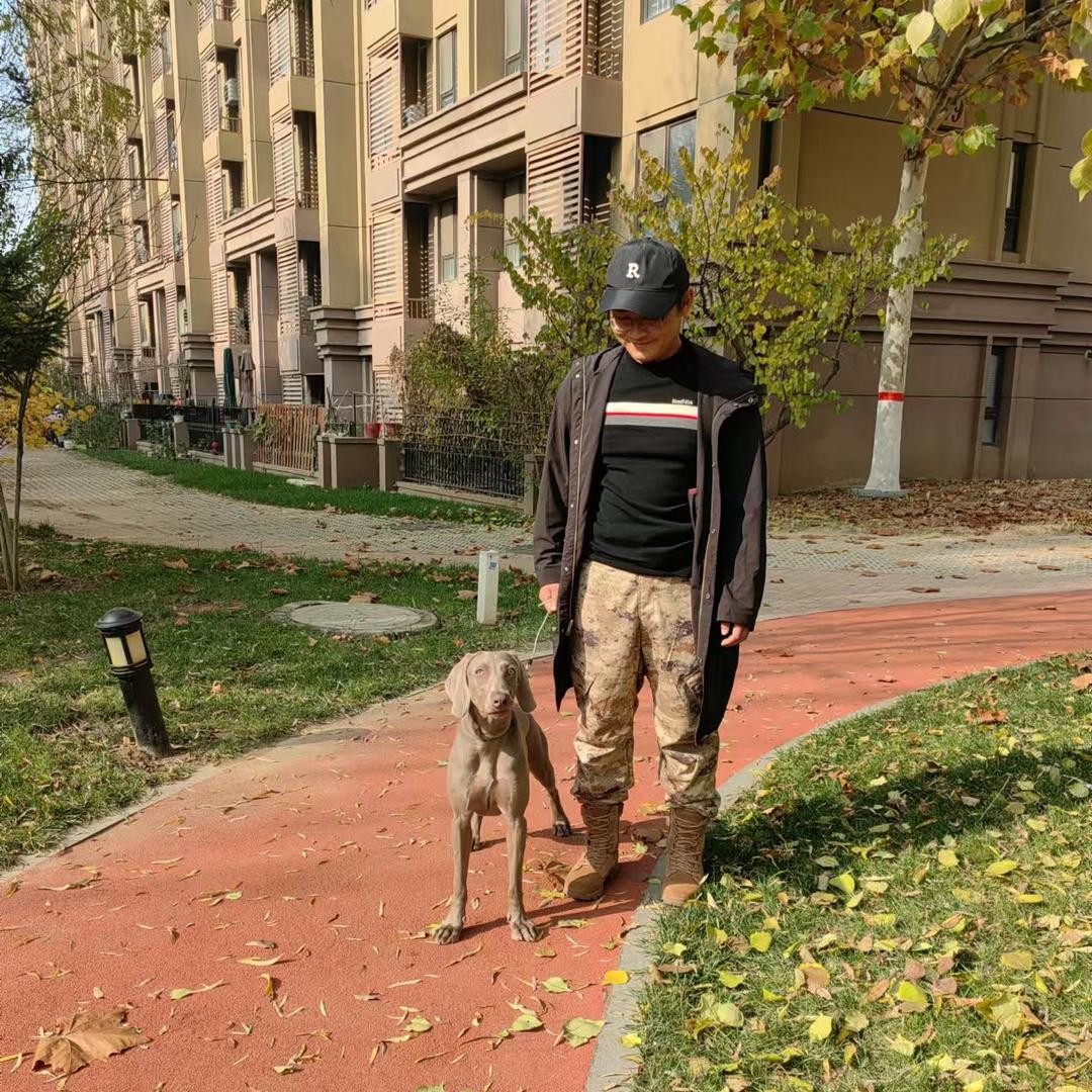 北京训犬洗澡美容寄养乐园田甜