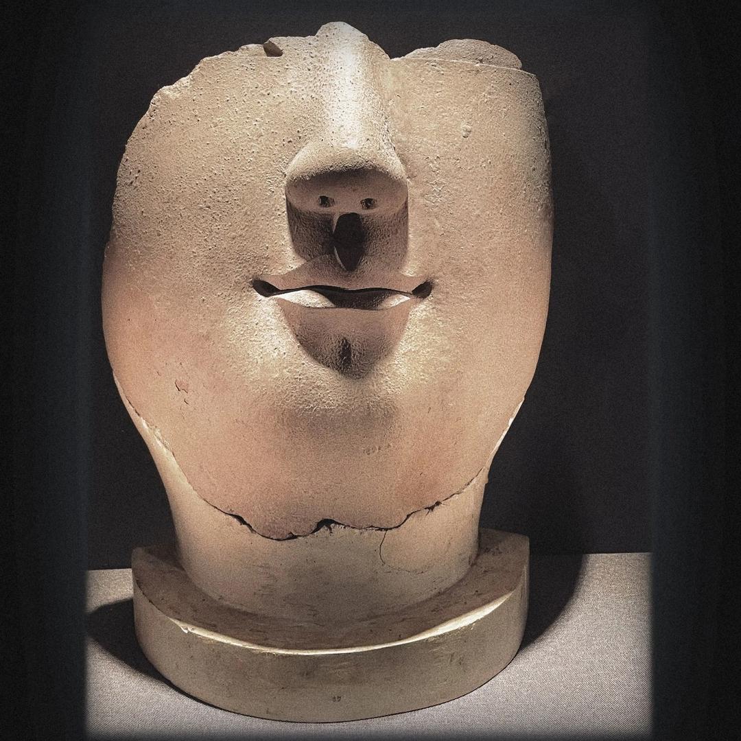 重辣火锅煮豆腐