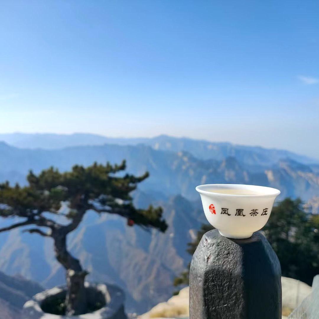 茶韵（凤凰单丛茶）
