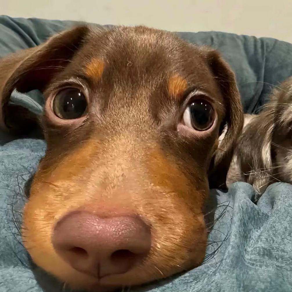 ㅤㅤㅤㅤㅤㅤ ㅤㅤㅤㅤ ㅤㅤㅤㅤㅤ