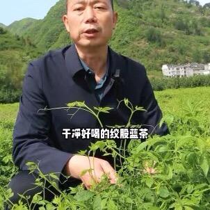 平利绞股蓝滋补养生旗舰店