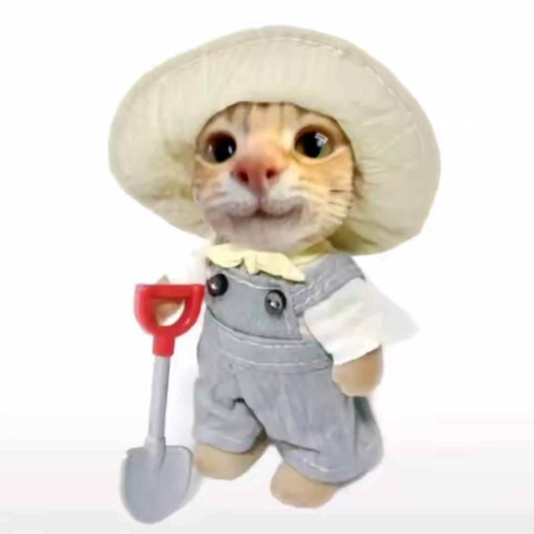 a.养只小猫头像