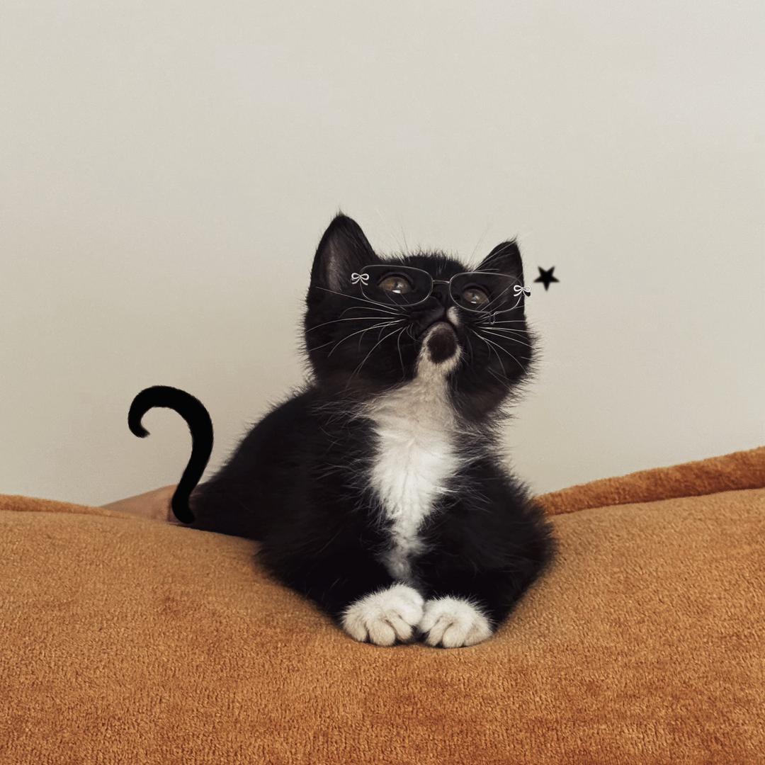 J姜不辣🌙ྀེི