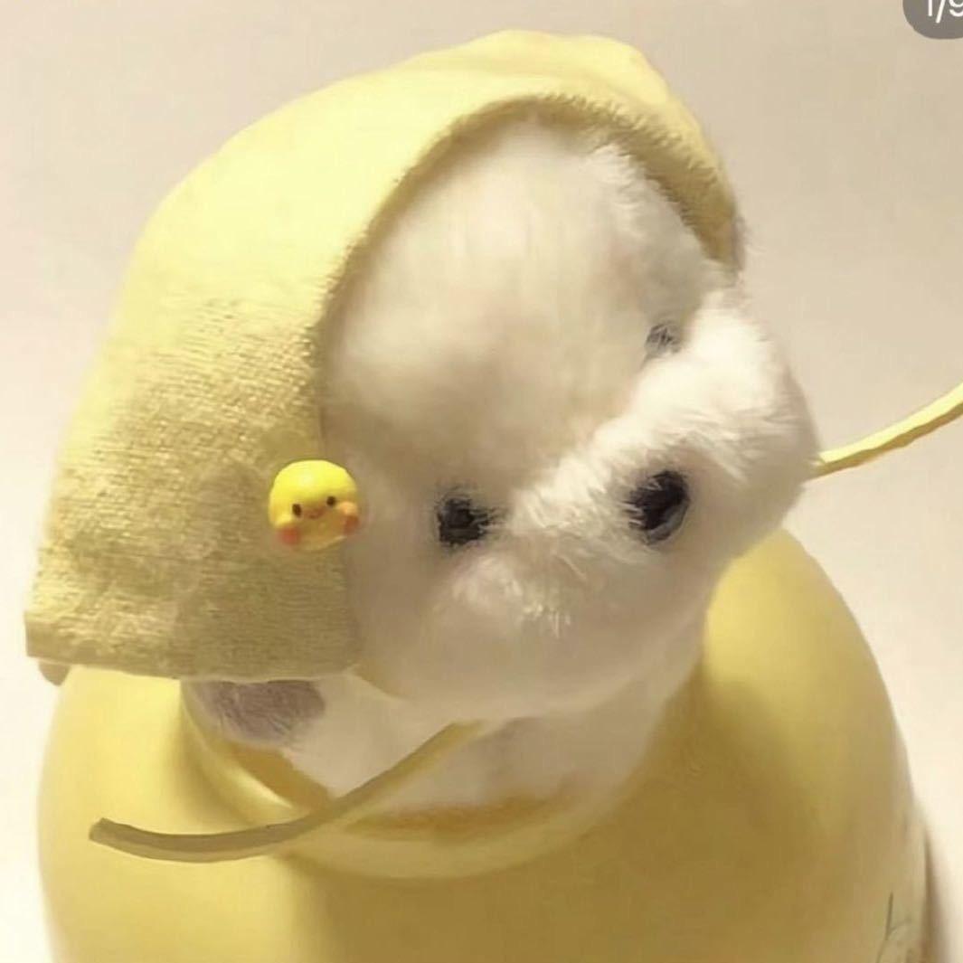 秋葵