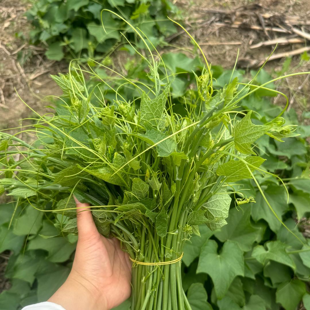 黔贵老地道农副产品精选铺