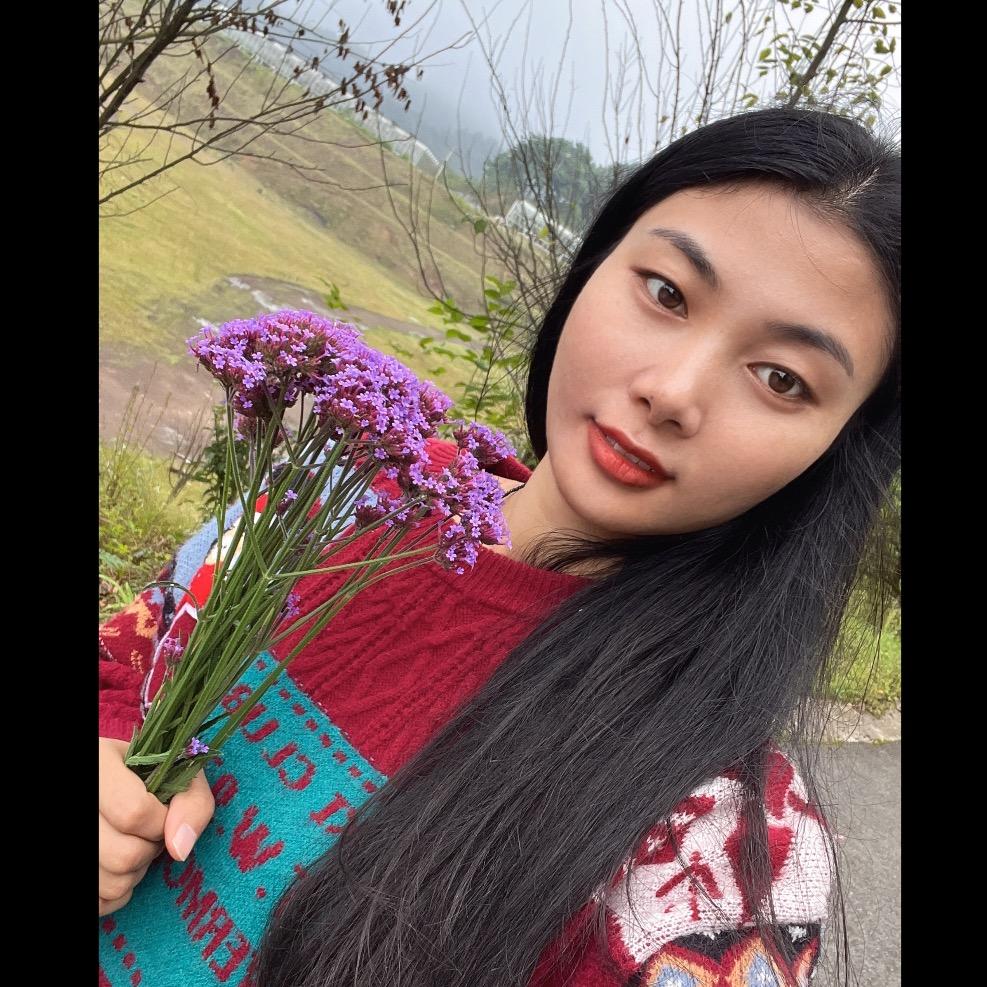 周周的平凡岁月